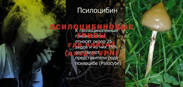 спиды Пролетарск