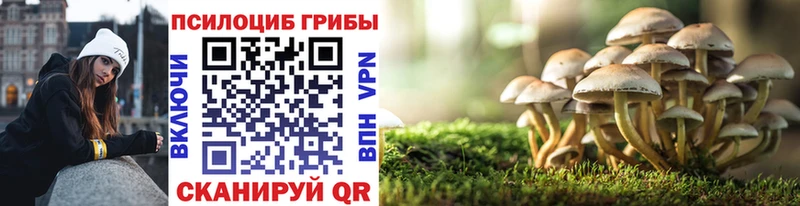 Купить  Ижевск  Псилоцибиновые грибы Magic Shrooms 